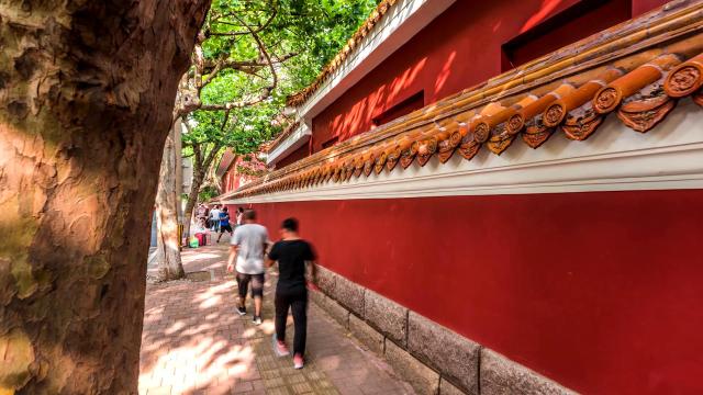 初秋的大学路