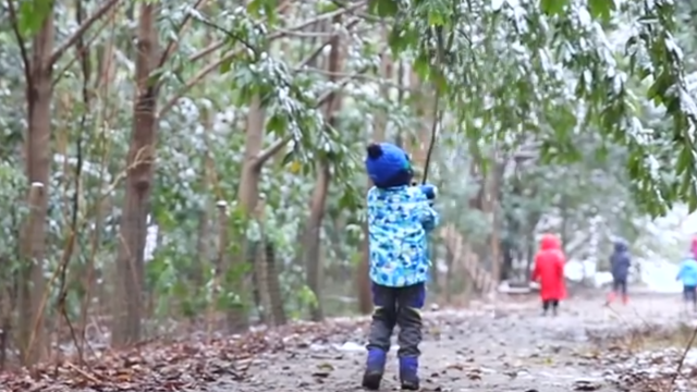 雪是童真