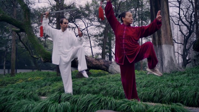 德国中医