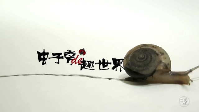 虫子旁的趣世界