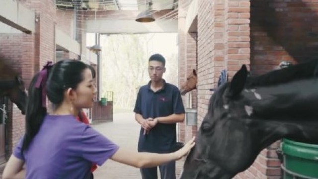 哎哟我趣——马术体验
