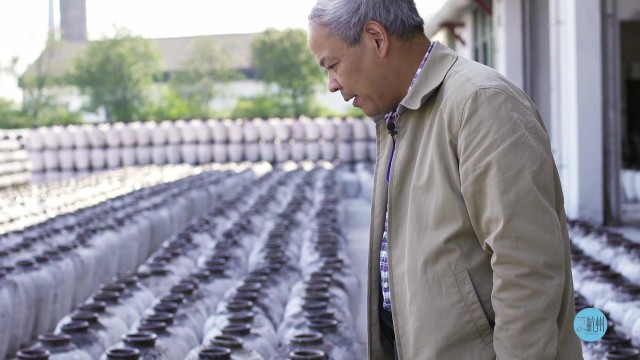 冬酿