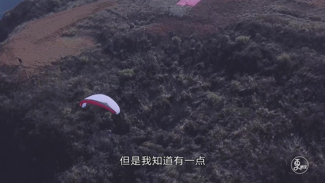 等风来