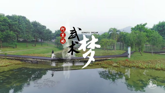 阿里的武术梦